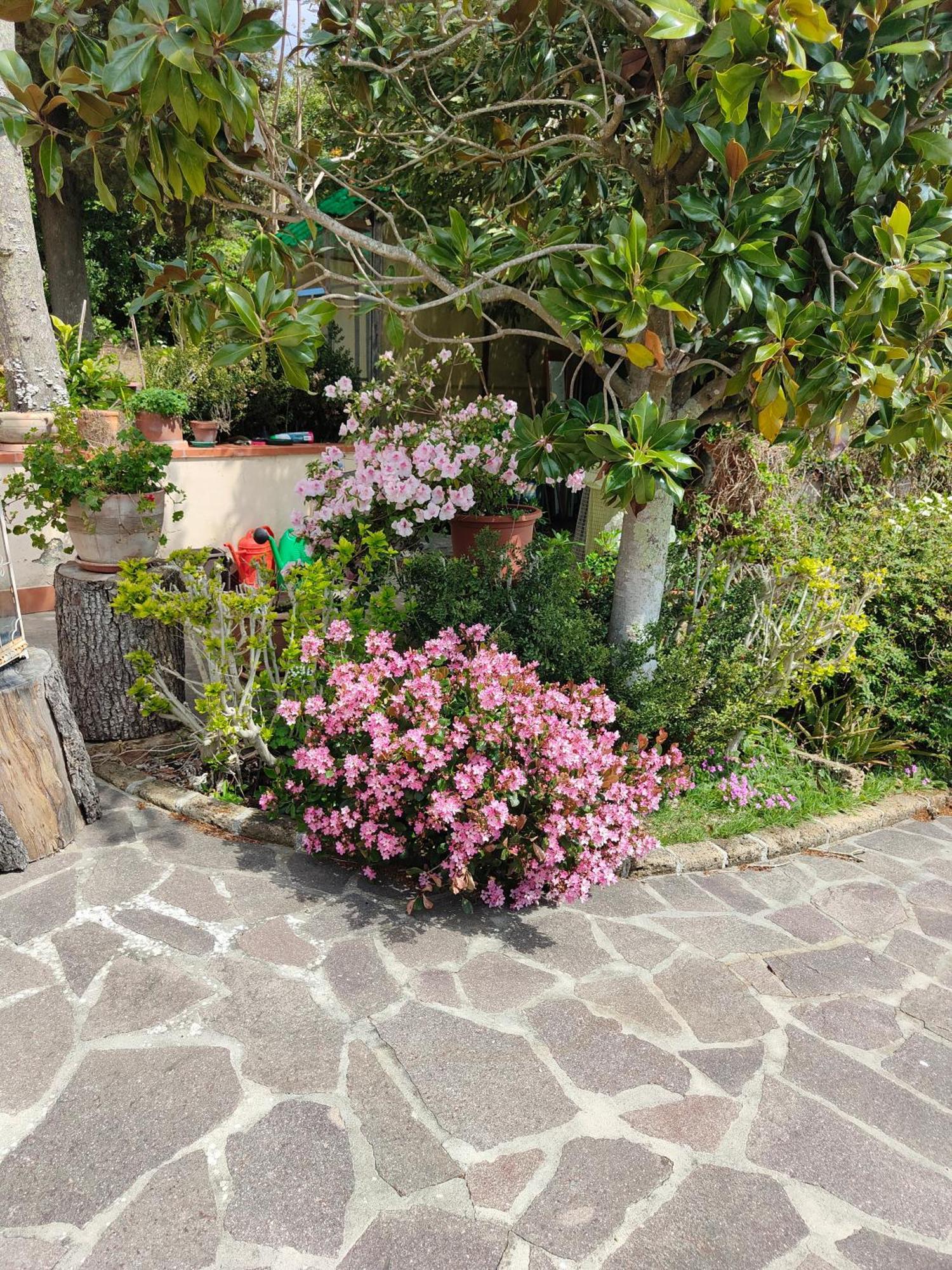 Il Diacciarello Apartment กาโบร ภายนอก รูปภาพ